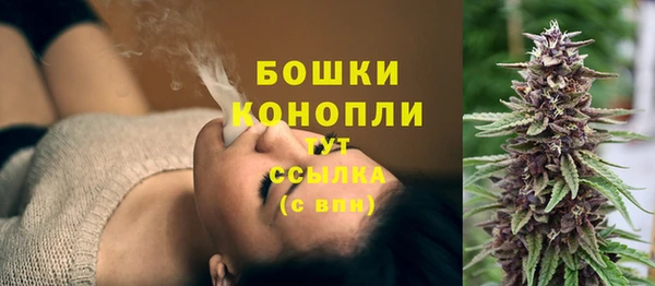 apvp Арсеньев
