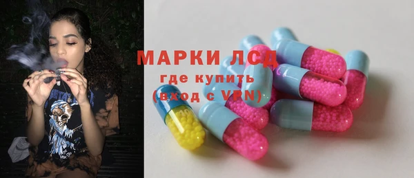 a pvp Аркадак