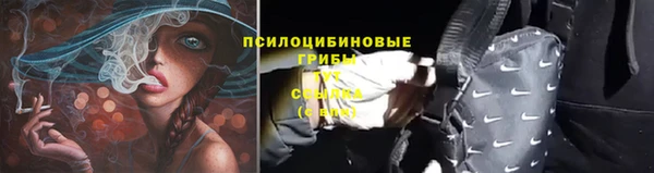 apvp Арсеньев